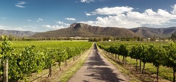 Vineyards View — Disability Services in Weston, NSW